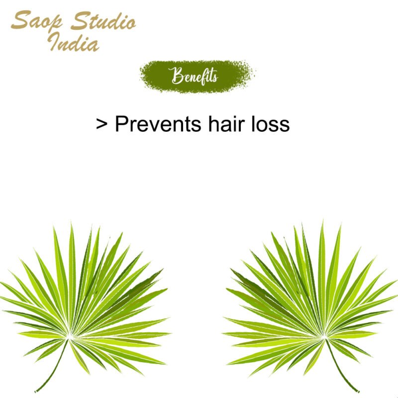 Saw Palmetto Essential Oil soapstudioindia